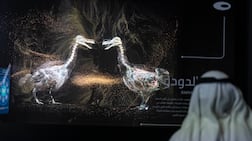 Cell samples are being stored as part of a new genetics programme housed at the Museum of the Future. Antonie Robertson / The National