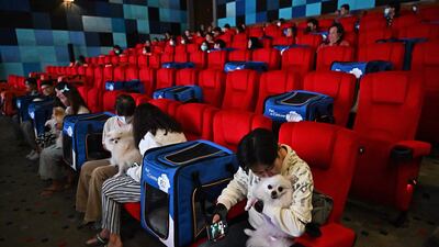 Pet dogs and their owners sit inside a movie theatre. AFP