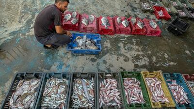 Palestinian fishermen sell their morning catch at the seaport in Gaza ciity. EPA