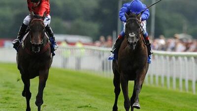 Vita Nova, left, may not have to face Blue Bunting, right, but Meeznah and Ferdoos could be on hand to challenge her.