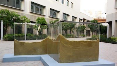 Anna Kurkova's 'Dunescape' was the winner of the 2017 Christo and Jeanne-Claude Award. Delores Johnson / The National