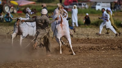 There's always a chance for chaos as some jockeys, like this one, lose control