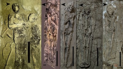 Mummified remains in the Theban tomb, showing variations in body orientation and arm positions. Proyecto dos cero nueve / Jared Carballo-Perez