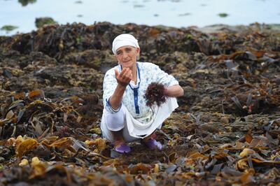 Red algae, known as agar, is one of the main industries in Morocco's coastal towns but the frenzied harvesting of this aquatic plant is endangering the ecological balance of the region and there are concerns about the exploitation of workers too, who are often paid very little for the seasonal work. AFP