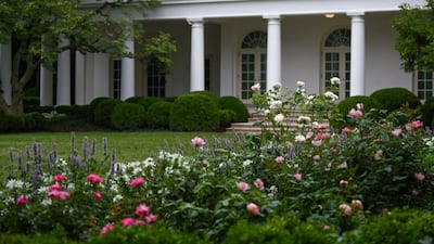 The Rose Garden after Melania Trump's overhaul. Reuters