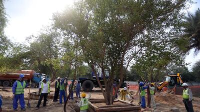 A reader praises Abu Dhabi Municipality for announcing the construction of 130 new parks. Sammy Dallal / The National