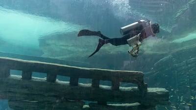 A diver cleaning the water before SeaWorld Abu Dhabi opens to the public