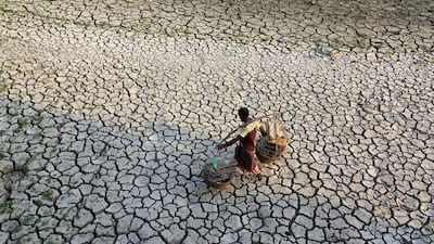 Drought-parched fields such as this one in Bangladesh are becoming a more common sight worldwide as the climate changes. Alamy