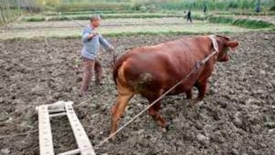 Household income growth has trailed GDP growth since the early 1990s, says Prof Huang.