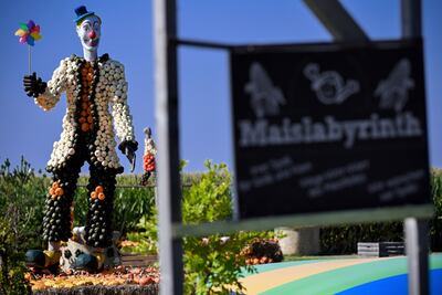 Pumpkin season awaits in Germany. EPA