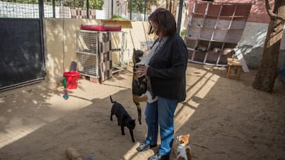 The motel is hosting pets when their owners cannot secure a place for them whenever they are travelling. EPA