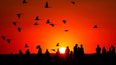 A major rise in global temperatures is on the horizon, which could lead to disasters including drought and wildfires. PA