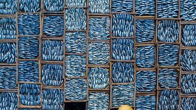 Khanh Phan Thi from Thailand has won in Food Photographer of the Year South East Asia category