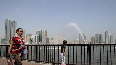 Ravindranath K / The National