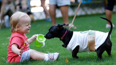 Stella Jones, a 17-month old Atlanta resident, plays with Kira, a dog dressed as a Starbucks coffee cup.