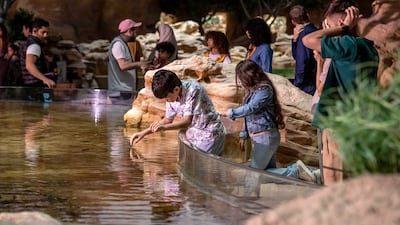 The park has eight realms, some of which allow visitors to feed and interact with marine animals. Antonie Robertson / The National