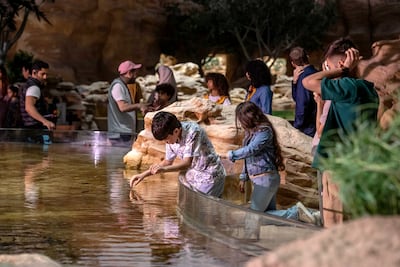 The Yas Annual Pass includes access to Yas Island theme parks, among other perks. Antonie Robertson / The National