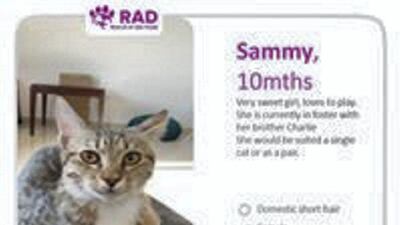 Courtesy Rescue of Abu Dhabi