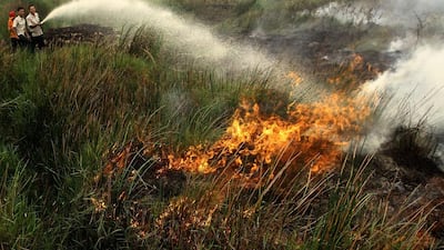Indonesian men use a hose to put out a fire in Banyuasin on October 7, 2015 amid an outcry from Indonesia's neighbours Malaysia and Singapore over the smog that has blanketed their skies for weeks. Abdul Qodir/AFP Photo