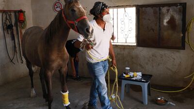 Egyptian vet Hassan Shatta, an equine surgery specialist who runs the PETA clinic, treating donkeys and horses used by locals to transport visitors in the Jordanian ancient city of Petra. Herds of hard-working donkeys once carried hordes of tourists on the rocky paths of Jordan's Petra, but visitor numbers crashed amid coronavirus and the loyal animals now face the chop. AFP