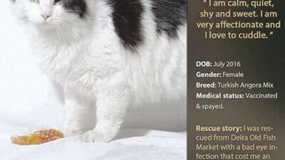 Courtesy Red Paw Foundation