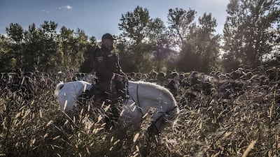 A handout image provided by the World Press Photo (WPP) organisation on 18 February 2016 shows a picture by Russian photographer Sergey Ponomarev for The New York Times that won First Prize Stories in the General News Category of the 59th annual World Press Photo Contest, it was announced by the WPP Foundation in Amsterdam, The Netherlands on 18 February 2016. The picture shows a Slovenian police officer on horseback escorting migrants after they crossed from Croatia. Under Europe’s system of open internal borders, the island’s thinly patrolled, easily accessible coastline, within sight of the Turkish coast, might as well be the frontier of France or Germany or Sweden. Sergey Ponomarev / EPA