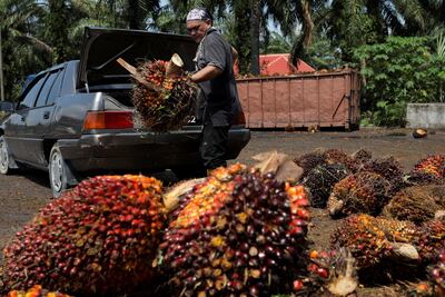 Fresh fruit being unloaded at a centre for smallholders in Banting, Malaysia. There is a need to strengthen local food systems and empower smallholder farmers. Reuters