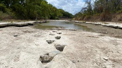 Officials say a new layer of sediment will help protect the tracks from natural weathering and erosion. AFP