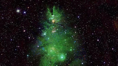 NGC 2264, also known as the 'Christmas Tree Cluster' can be found in the Milk Way, about 2,500 light-years from Earth. Photo: Nasa