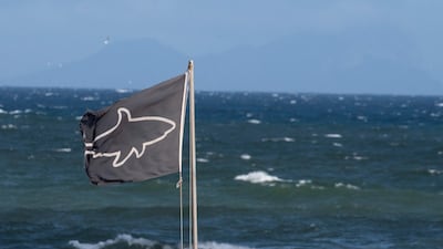 A shark warning flag at Muizenberg Beach, near Cape Town, South Africa. Attacks on humans are reported to be rare. AFP