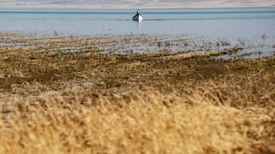 For several years both the lake and the river have been shrinking, severely affecting the lives of farmers in the region.
