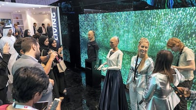 General image of the show.