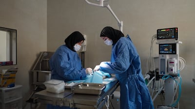 The centre includes a vets' clinic and state-of-the-art operating theatre. Photo: Dubai Media Office