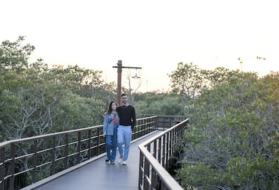 The park offers a boardwalk route through the mangroves. Khushnum Bhandari / The National