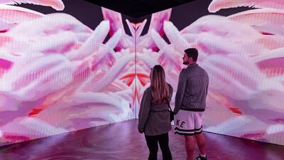 An installation of immersive art by Rakesh Pulapa and Naime Pakniyat