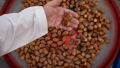 Mr Alfalahi believes sustainability and technology are key to the future of date farming