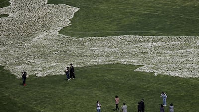 People walk around Seoul Square decorated with Marguerite in the shape of Korean Peninsula in Seoul. Photo by Woohae Cho / Getty Images