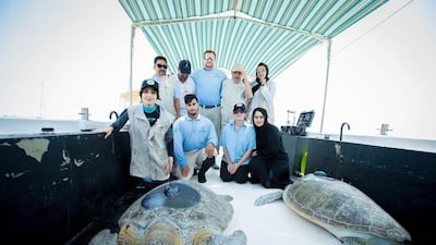 The Environment Agency has followed the impressive progress of Green turtles, Wisdom and Respect. Courtesy EAD