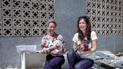 Rachael Ryder (L) and a member of Mangrove Beach Cats group with rescued cats during the coronavirus pandemic. Victor Besa / The National