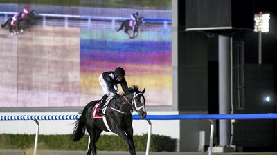 Jockey D Watson won on Big Brown Bear, owned by Kildare Stud, in the Arabian Adventures Maiden 1.400m dirt race at Meydan. Reem Mohammed / The National