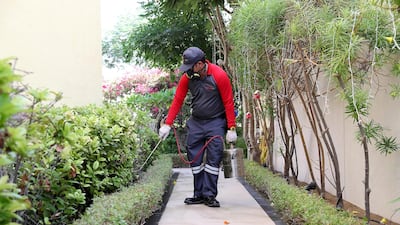 A technician with Rentokil Pest Control spraying pesticide to kill ants at a villa in Jumeirah Park in Dubai. Pawan Singh / The National