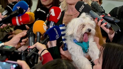 The four-legged friends were the centre of attention as media assembled to greet them. Getty Images