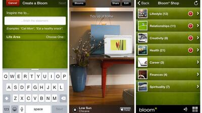 Above, screengrabs of Bloom.