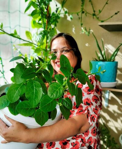 Nirmala D'Souza with her Malabar spinach plant.