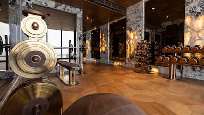 The gym with crocodile skin-covered equipment