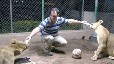 Big cat trainer, Rob Punton who wants to set up a project here to train captive animals. This is likely to be controversial as many people think there should be minimum contact with humans, quite apart from the safety issues. He says training improves big cat health and welfare and can assist programmes to return specimens to the wild by teaching them to hunt. (Handout photos-courtesy Rob Punton) FOR COLIN SIMPSON STORY.