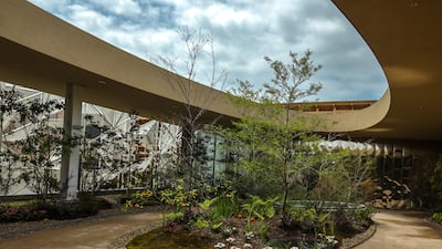 The plants and trees will be replanted in areas outside the city at the end of the expo in October. Victor Besa / The National