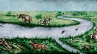 An artist's rendering of what scientists believe part of the Al Gharbia region of Abu Dhabi was like eight million years ago: a lush oasis home to species now long extinct