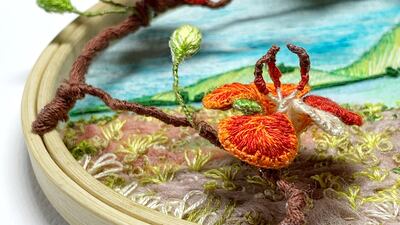 A krisnachora tree by Diti Baruah. Photo: Diti Baruah