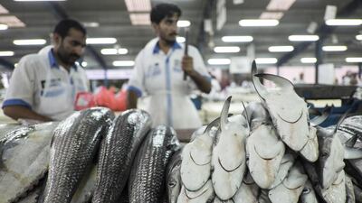 Sharks for sale in the UAE. Over-fishing of various species has led to them becoming endangered. Antonie Robertson / The National